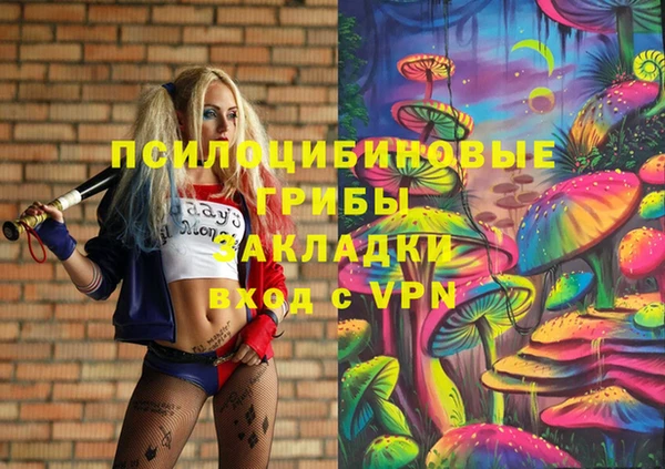 шишки Балабаново